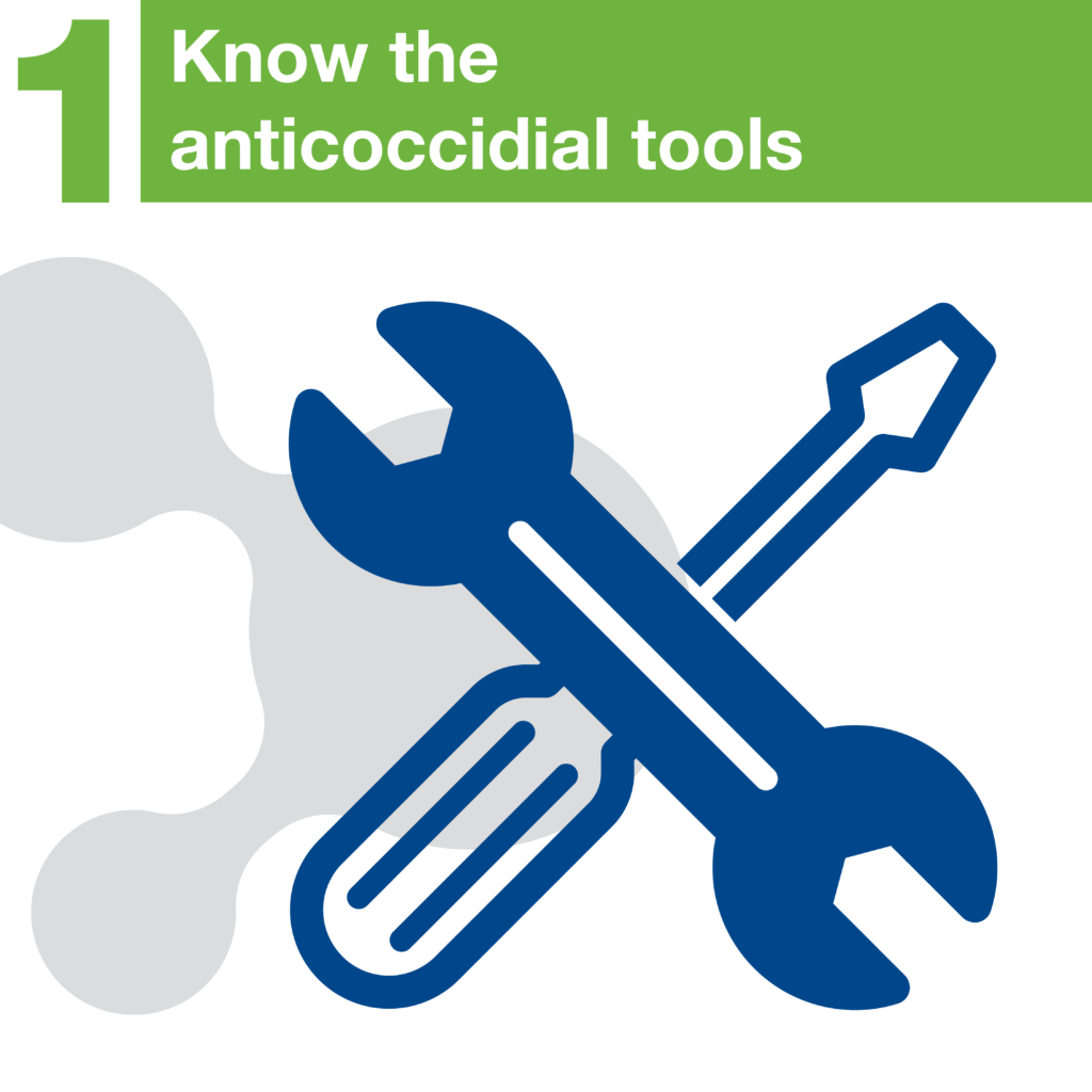 Download on the Apple App Store